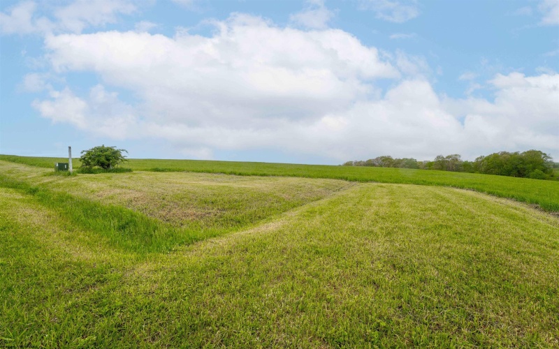 TBD Meadowlark Drive, Bruceton Mills, West Virginia 26525, ,Lots/land,For Sale,Meadowlark,10159560