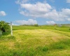 TBD Meadowlark Drive, Bruceton Mills, West Virginia 26525, ,Lots/land,For Sale,Meadowlark,10159560