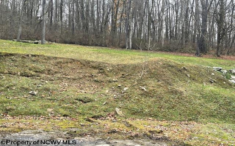 3547 Mountaineer Highway, Newburg, West Virginia 26410-9905, ,Commercial/industrial,For Sale,Mountaineer,10157218
