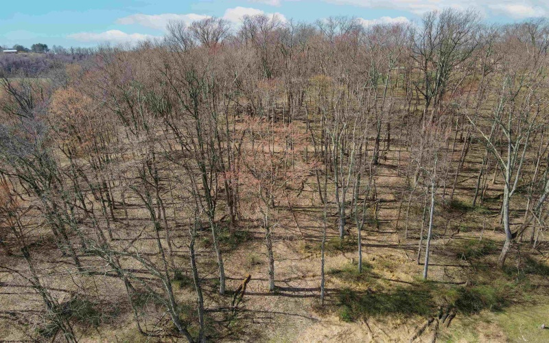 0 Pierpont Road, Morgantown, West Virginia 26508, ,Lots/land,For Sale,Pierpont,10154436