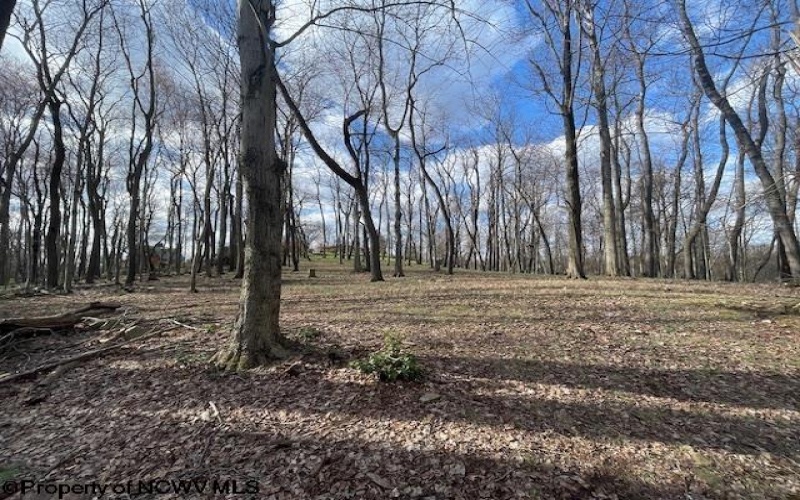 0 Pierpont Road, Morgantown, West Virginia 26508, ,Lots/land,For Sale,Pierpont,10154436