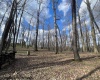 0 Pierpont Road, Morgantown, West Virginia 26508, ,Lots/land,For Sale,Pierpont,10154436