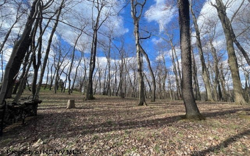 0 Pierpont Road, Morgantown, West Virginia 26508, ,Lots/land,For Sale,Pierpont,10154436
