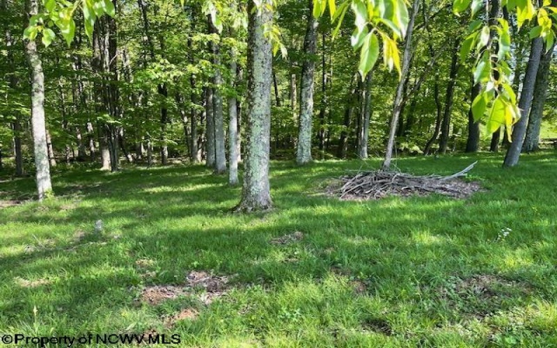 Lot 1 Pleasant Valley Drive, Reedsville, West Virginia 26547, ,Lots/land,For Sale,Pleasant Valley,10159569