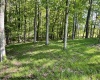 Lot 1 Pleasant Valley Drive, Reedsville, West Virginia 26547, ,Lots/land,For Sale,Pleasant Valley,10159569