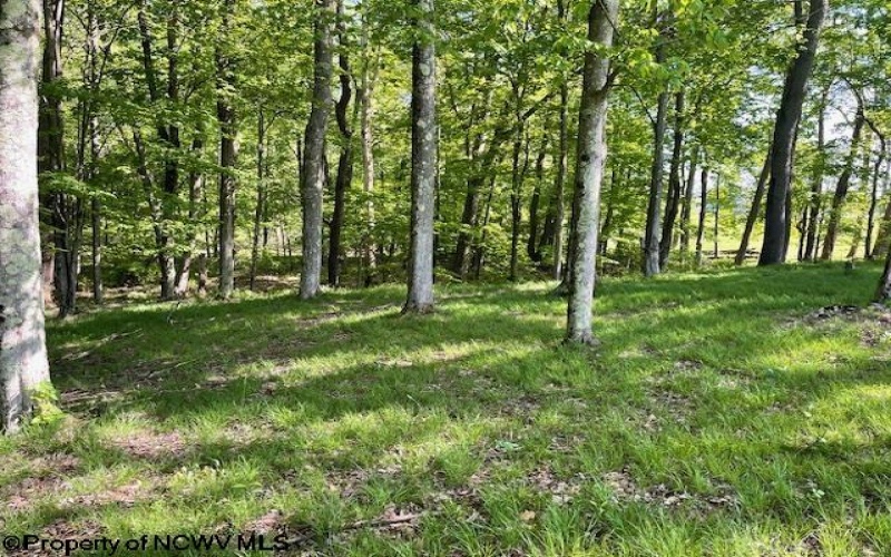 Lot 1 Pleasant Valley Drive, Reedsville, West Virginia 26547, ,Lots/land,For Sale,Pleasant Valley,10159569