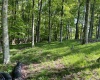 Lot 1 Pleasant Valley Drive, Reedsville, West Virginia 26547, ,Lots/land,For Sale,Pleasant Valley,10159569