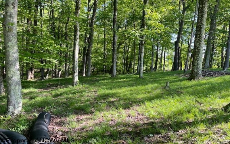 Lot 1 Pleasant Valley Drive, Reedsville, West Virginia 26547, ,Lots/land,For Sale,Pleasant Valley,10159569