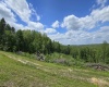 667 Midway Road, Belington, West Virginia 26250, ,Lots/land,For Sale,Midway,10159574