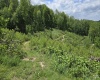 667 Midway Road, Belington, West Virginia 26250, ,Lots/land,For Sale,Midway,10159574