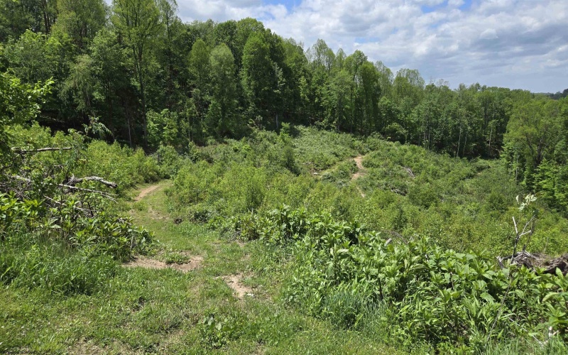 667 Midway Road, Belington, West Virginia 26250, ,Lots/land,For Sale,Midway,10159574