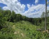 667 Midway Road, Belington, West Virginia 26250, ,Lots/land,For Sale,Midway,10159574