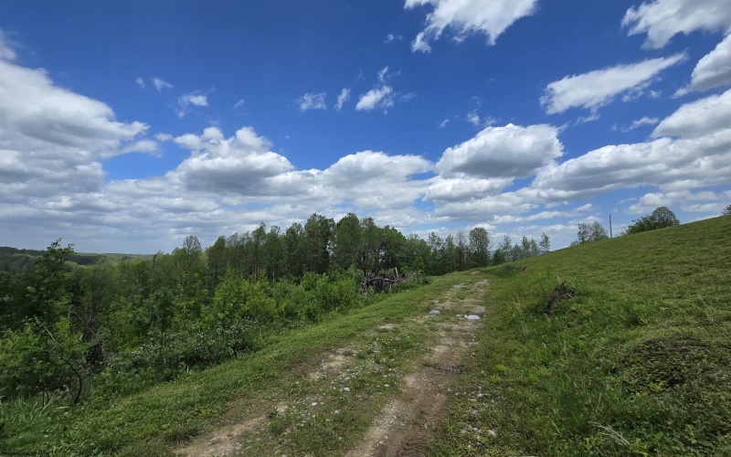 667 Midway Road, Belington, West Virginia 26250, ,Lots/land,For Sale,Midway,10159574