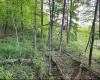 667 Midway Road, Belington, West Virginia 26250, ,Lots/land,For Sale,Midway,10159574