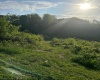 667 Midway Road, Belington, West Virginia 26250, ,Lots/land,For Sale,Midway,10159574