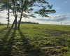 667 Midway Road, Belington, West Virginia 26250, ,Lots/land,For Sale,Midway,10159574