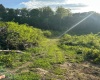 667 Midway Road, Belington, West Virginia 26250, ,Lots/land,For Sale,Midway,10159574
