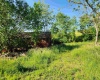 580 Deer Haven Drive, Lost Creek, West Virginia 26385, 4 Bedrooms Bedrooms, 8 Rooms Rooms,2 BathroomsBathrooms,Single Family Detached,For Sale,Deer Haven,10159575