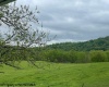 74 Long Meadow Lane, Worthington, West Virginia 26591, ,Lots/land,For Sale,Long Meadow,10159591