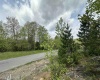 Lot 11 Tuscan Ridge Road, Davis, West Virginia 26260, ,Lots/land,For Sale,Tuscan Ridge,10159602