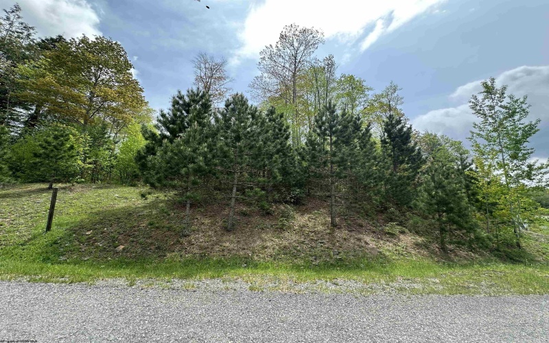 Lot 11 Tuscan Ridge Road, Davis, West Virginia 26260, ,Lots/land,For Sale,Tuscan Ridge,10159602