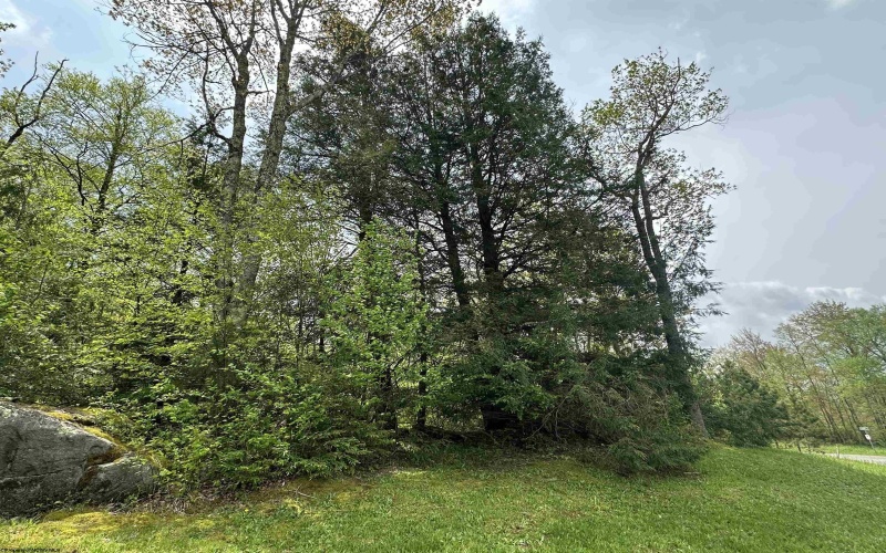 Lot 11 Tuscan Ridge Road, Davis, West Virginia 26260, ,Lots/land,For Sale,Tuscan Ridge,10159602