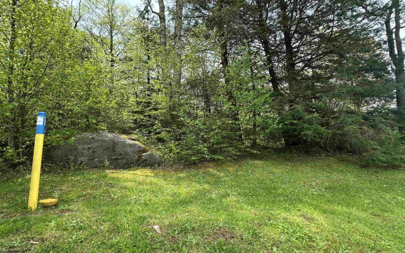 Lot 11 Tuscan Ridge Road, Davis, West Virginia 26260, ,Lots/land,For Sale,Tuscan Ridge,10159602