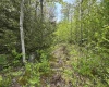 Lot 11 Tuscan Ridge Road, Davis, West Virginia 26260, ,Lots/land,For Sale,Tuscan Ridge,10159602