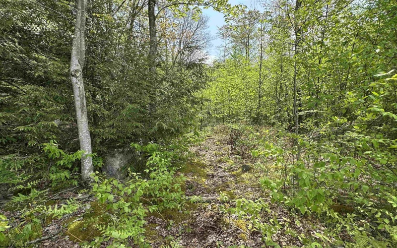 Lot 11 Tuscan Ridge Road, Davis, West Virginia 26260, ,Lots/land,For Sale,Tuscan Ridge,10159602