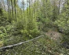 Lot 11 Tuscan Ridge Road, Davis, West Virginia 26260, ,Lots/land,For Sale,Tuscan Ridge,10159602