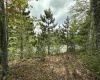 Lot 11 Tuscan Ridge Road, Davis, West Virginia 26260, ,Lots/land,For Sale,Tuscan Ridge,10159602