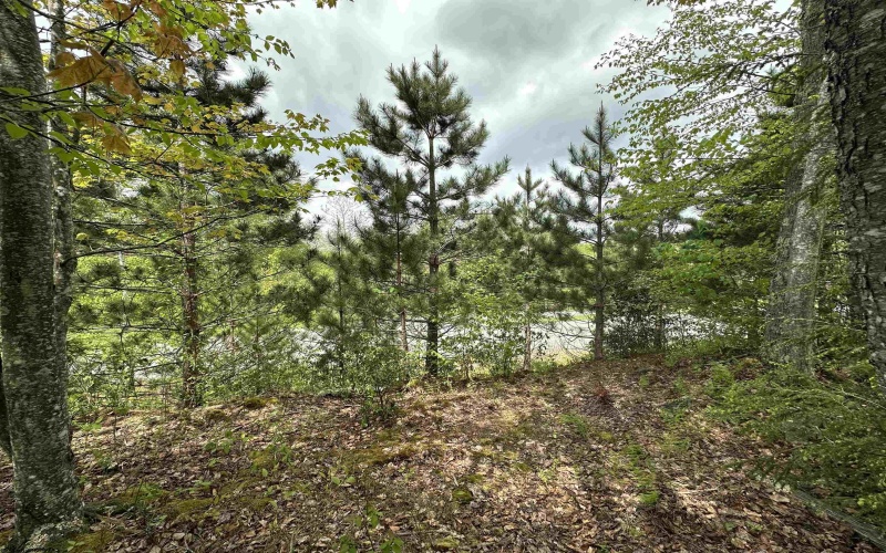 Lot 11 Tuscan Ridge Road, Davis, West Virginia 26260, ,Lots/land,For Sale,Tuscan Ridge,10159602