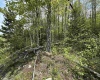Lot 11 Tuscan Ridge Road, Davis, West Virginia 26260, ,Lots/land,For Sale,Tuscan Ridge,10159602