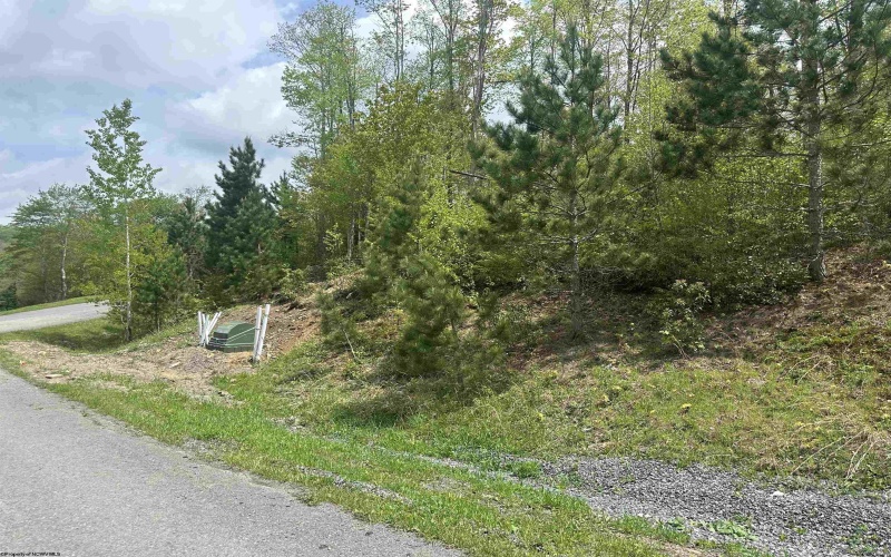 Lot 11 Tuscan Ridge Road, Davis, West Virginia 26260, ,Lots/land,For Sale,Tuscan Ridge,10159602