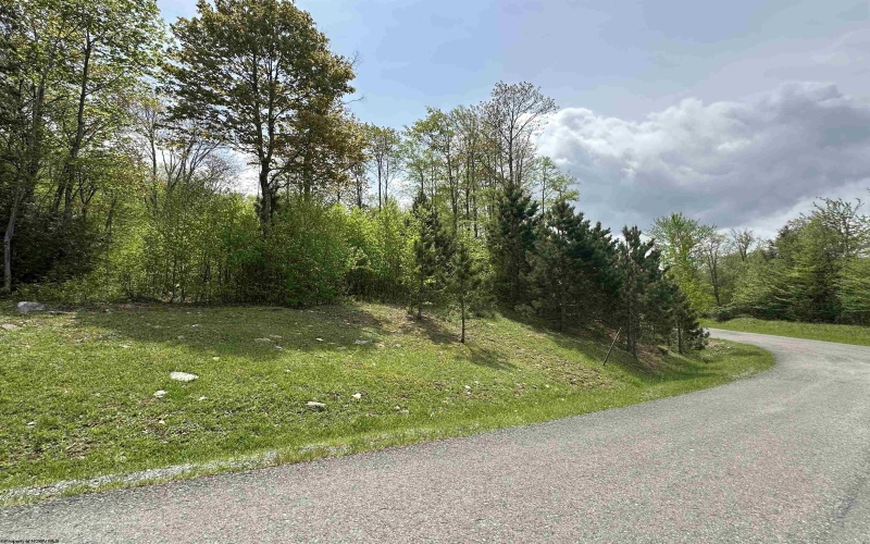 Lot 11 Tuscan Ridge Road, Davis, West Virginia 26260, ,Lots/land,For Sale,Tuscan Ridge,10159602