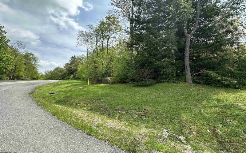 Lot 11 Tuscan Ridge Road, Davis, West Virginia 26260, ,Lots/land,For Sale,Tuscan Ridge,10159602