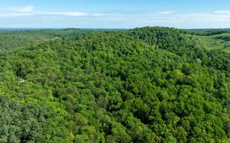 0 Ice Linn Lane, Fairmont, West Virginia 26554, ,Lots/land,For Sale,Ice Linn,10159605