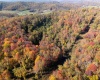 Parcel B Guston Run Road, Morgantown, West Virginia 26505, ,Lots/land,For Sale,Guston Run,10159595