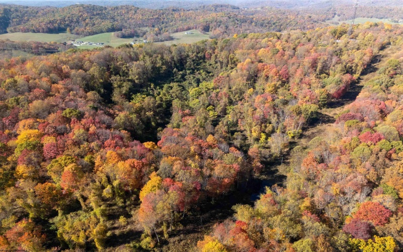 Parcel B Guston Run Road, Morgantown, West Virginia 26505, ,Lots/land,For Sale,Guston Run,10159595