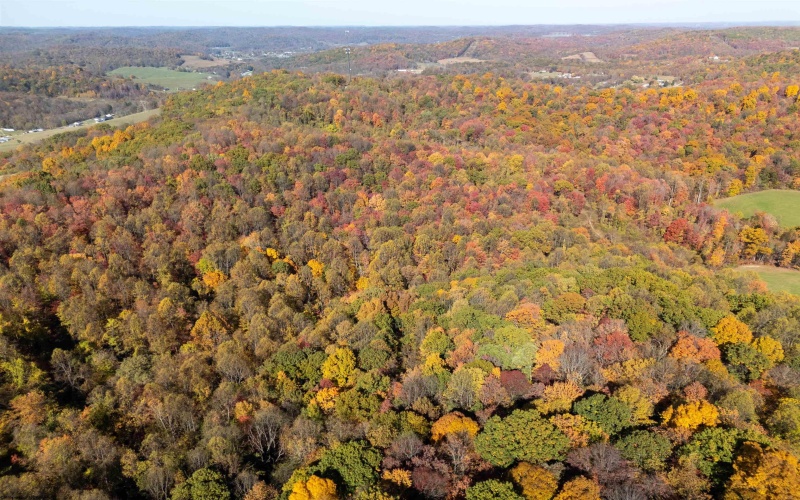Parcel B Guston Run Road, Morgantown, West Virginia 26505, ,Lots/land,For Sale,Guston Run,10159595