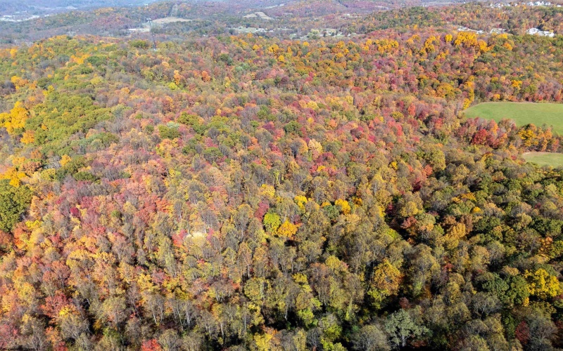 Parcel B Guston Run Road, Morgantown, West Virginia 26505, ,Lots/land,For Sale,Guston Run,10159595
