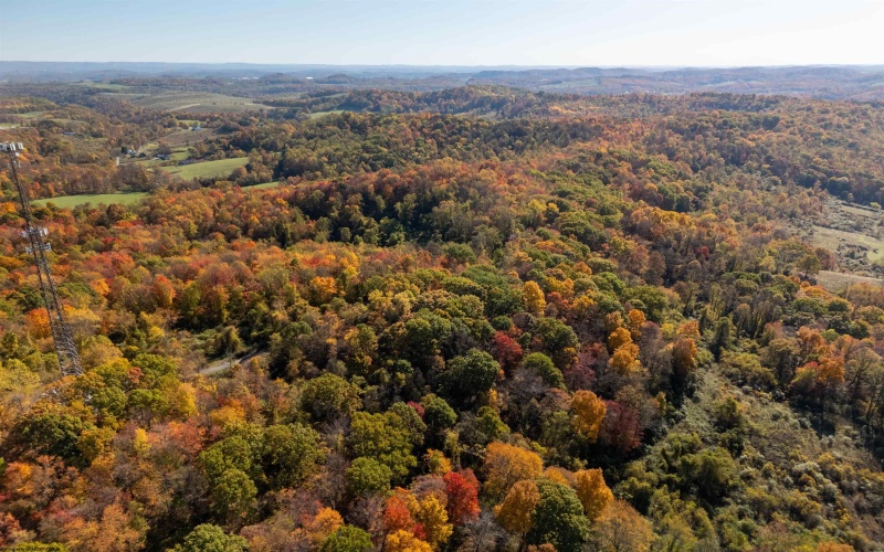 Parcel B Guston Run Road, Morgantown, West Virginia 26505, ,Lots/land,For Sale,Guston Run,10159595