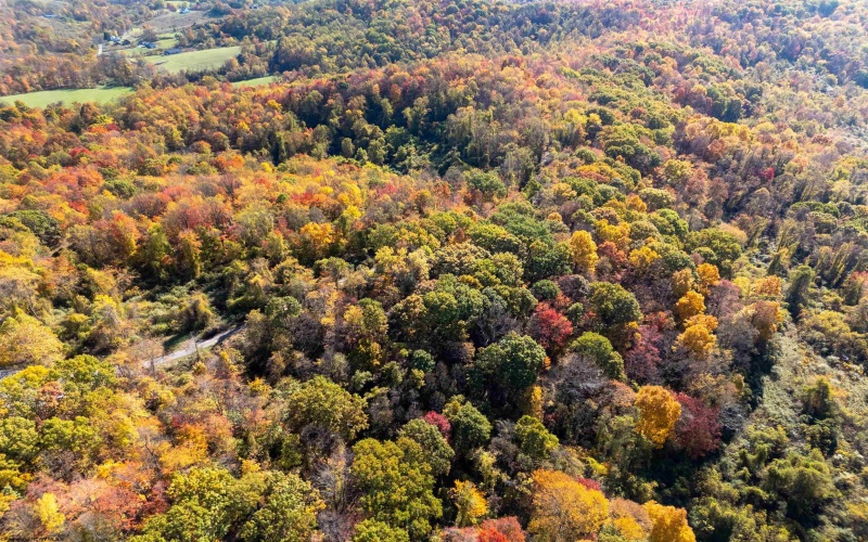 Parcel B Guston Run Road, Morgantown, West Virginia 26505, ,Lots/land,For Sale,Guston Run,10159595