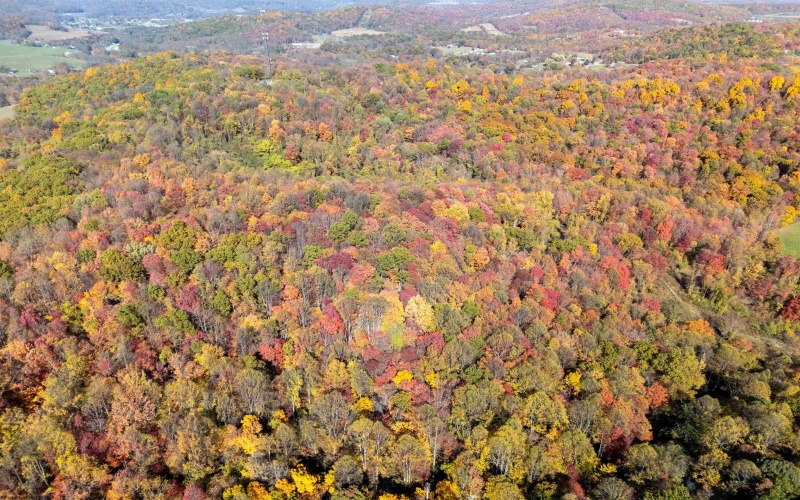 Parcel B Guston Run Road, Morgantown, West Virginia 26505, ,Lots/land,For Sale,Guston Run,10159595