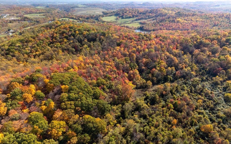 Parcel B Guston Run Road, Morgantown, West Virginia 26505, ,Lots/land,For Sale,Guston Run,10159595