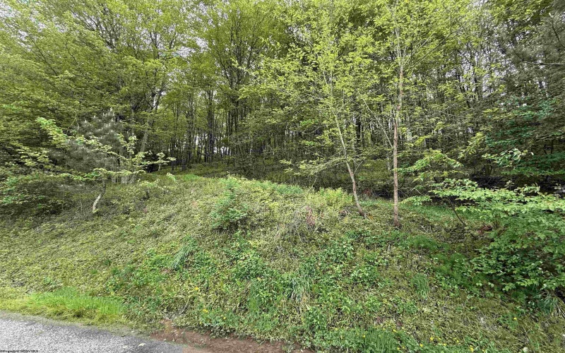 2610 Maple Spring Highway, Eglon, West Virginia 26716-8698, 3 Bedrooms Bedrooms, 9 Rooms Rooms,2 BathroomsBathrooms,Single Family Detached,For Sale,Maple Spring,10159599