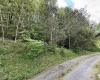 2610 Maple Spring Highway, Eglon, West Virginia 26716-8698, 3 Bedrooms Bedrooms, 9 Rooms Rooms,2 BathroomsBathrooms,Single Family Detached,For Sale,Maple Spring,10159599