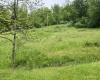 411 Cap Run Road, Walkersville, West Virginia 26447, ,Lots/land,For Sale,Cap Run,10159633