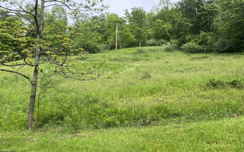 411 Cap Run Road, Walkersville, West Virginia 26447, ,Lots/land,For Sale,Cap Run,10159633