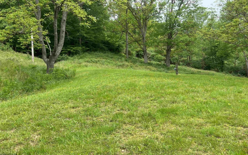 411 Cap Run Road, Walkersville, West Virginia 26447, ,Lots/land,For Sale,Cap Run,10159633
